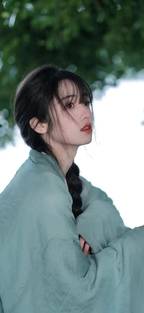 藤本树