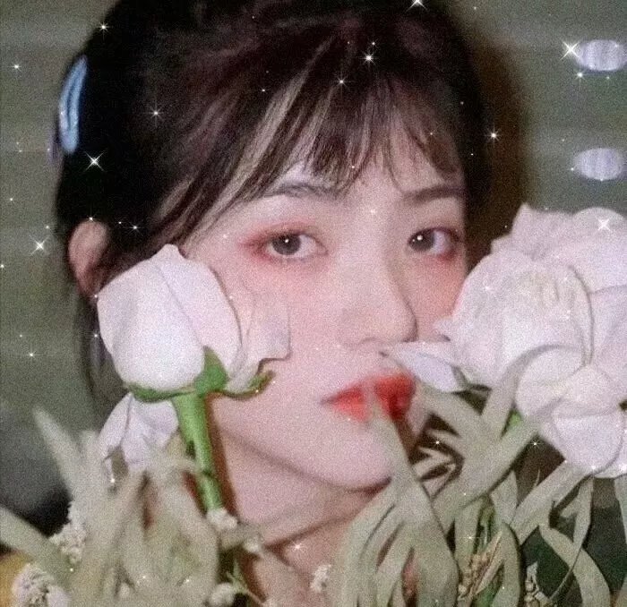 熊出没